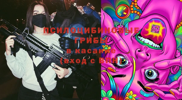 сатива Нея