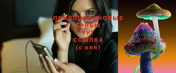 сатива Нея