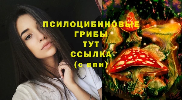 сатива Нея