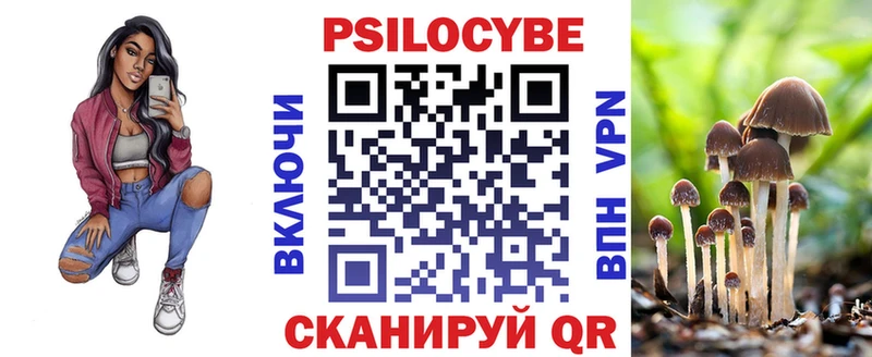 как найти закладки  Циолковский  Псилоцибиновые грибы Psilocybine cubensis 