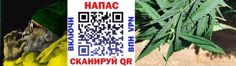 наркотики  Циолковский  Бошки Шишки OG Kush 